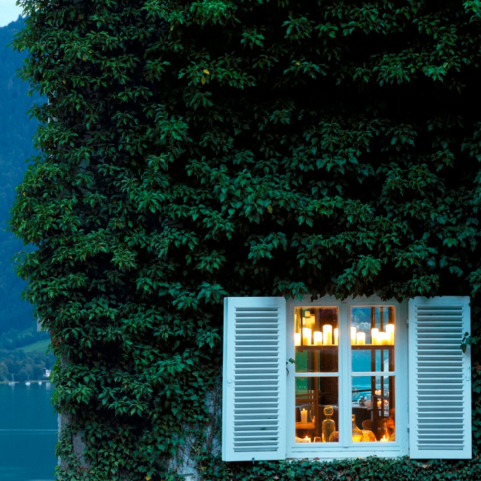 Detailaufnahme von außen mit einem Fenster, welches geöffnete, weiße und klappbare Fensterläden hat und das umgeben ist von einer begrünten Hauswand.