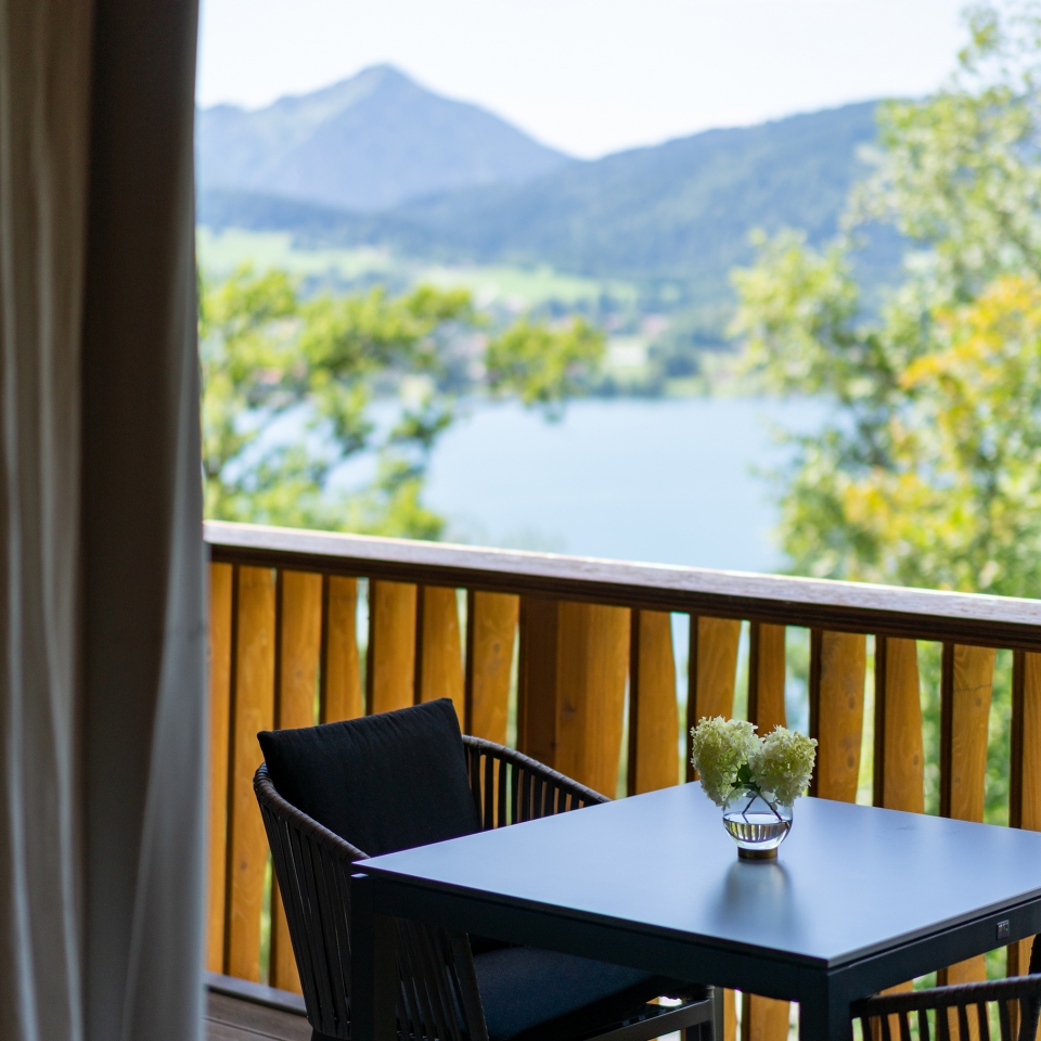 gallery-alpenchalet-appartement-balkon